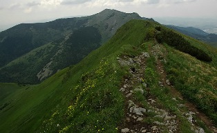 pekelnik